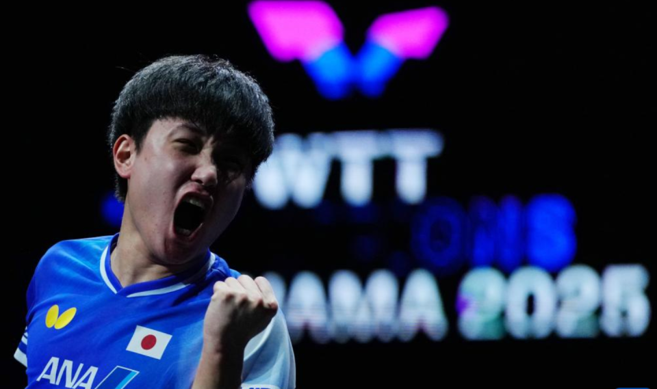 肯定赢不了, com