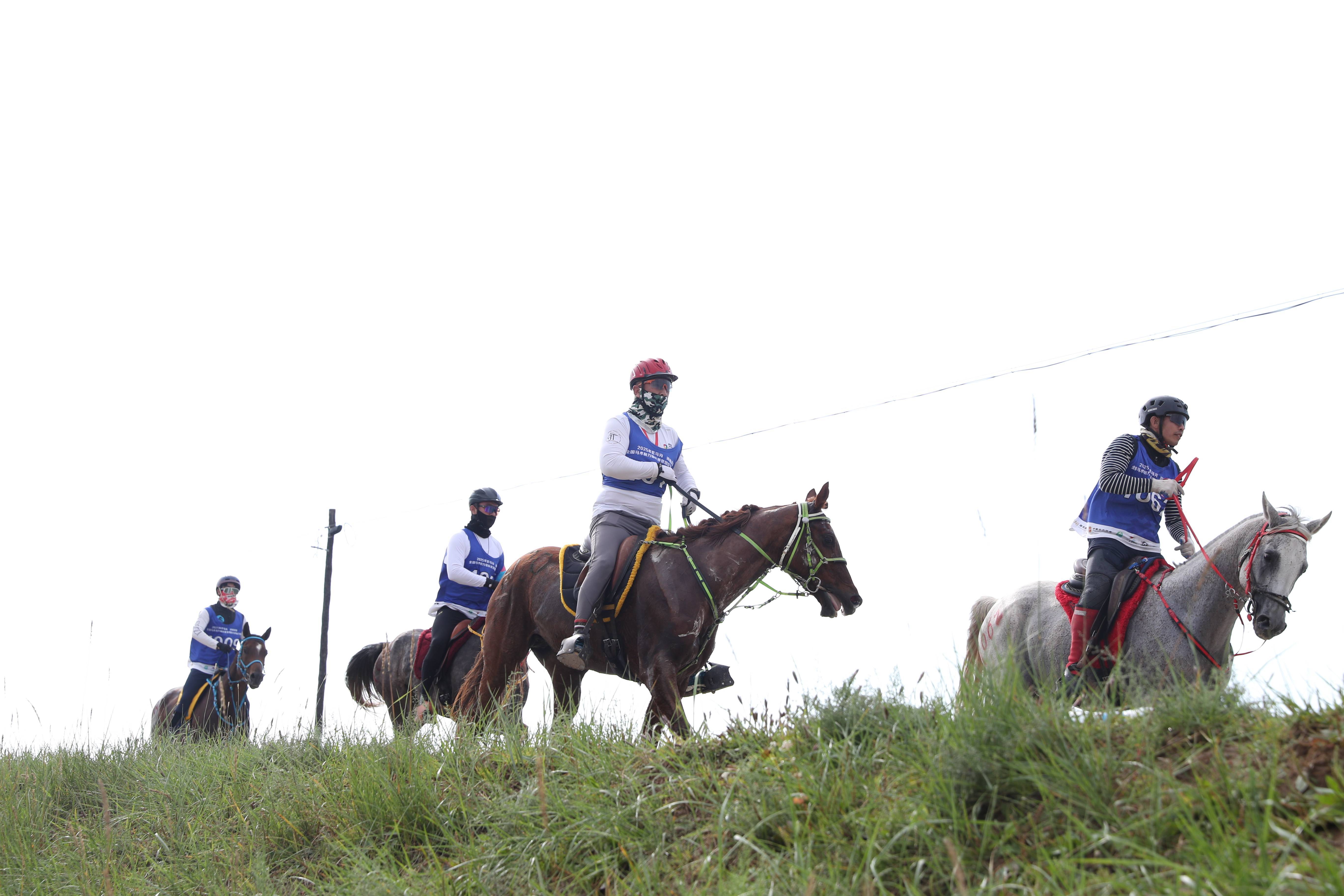赛事的每一, 场盛会上收