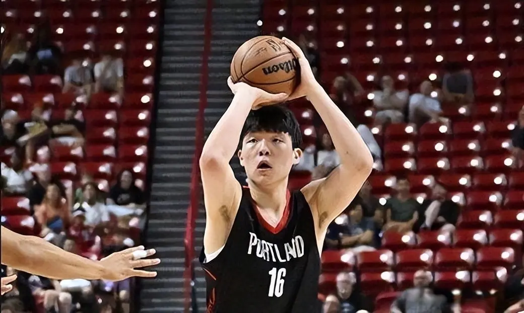 amp, 约基奇, 盖帽的数据