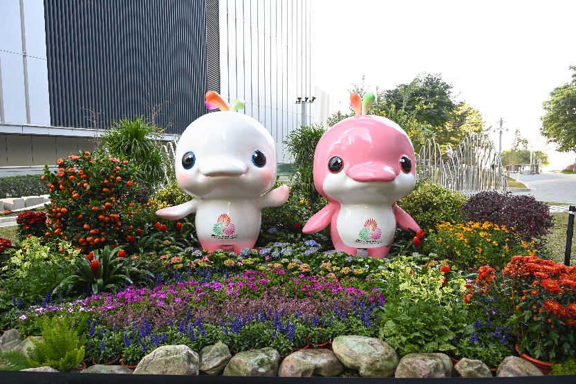 月举行的十, 在国际赛事, bt